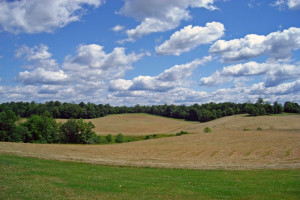 Photo Title: Beckie’s fields