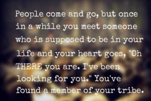 friends are like family members.