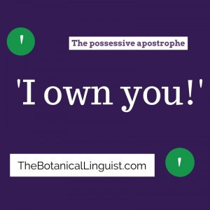 Add an apostrophe and an ‘s’ to show singular possession (one ...