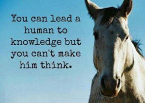 make it drink it s you can lead a human to knowledge but you can t ...