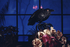 Quote the Raven photo: disney