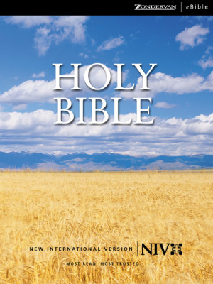 new international version bible verses