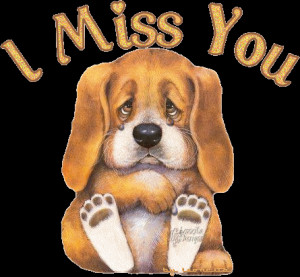 href http animatedimagepic com miss you animated image miss you