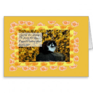 Cat in the Garden, humorous quote Cards