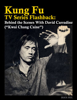 Kung Fu Tv Series Of the kung fu tv series
