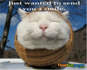 Tags: cute cat pictures , cute ecard , funny cat pictures