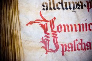 Latin Quotes and Words of Wisdom