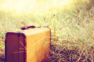 brown, grass, journey, light, suitcase, travel, vintage