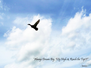 up always dream big fly high and reach the top my quote of the day
