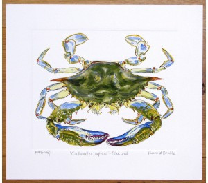Blue Crab by Richard Bramble