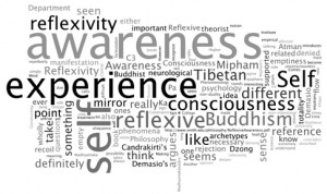 ... : What is the awareness in Buddhism and other nondual traditions