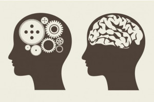 Head and brain graphic by ThinkStock