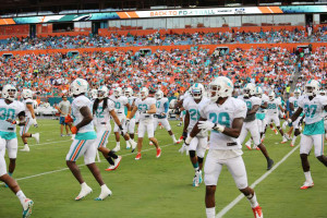 Miami Dolphins 2013