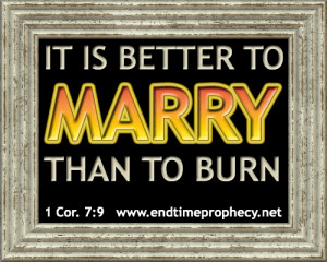 corinthians 7 9 Biblical Marriage / Divorce / Adultery Graphic 08