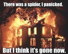 funny spider quotes - Google Search