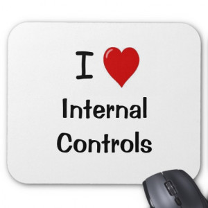 Love Internal Controls - Funny Compliance Quote Mouse Pad