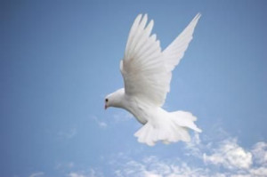 Found on inspirational-bible-verses.com