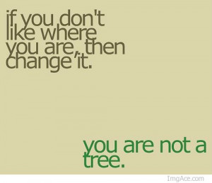 Quotes About Change Change Quotes 563 Quotes On Images Quotespictures