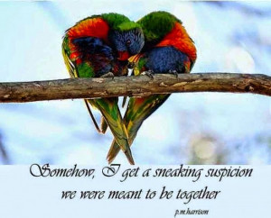 quotes cute love quotes cute love quotes cute love quotes