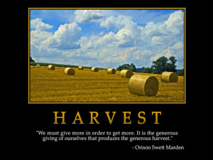 ... Quotes, Marden Quotes, Inspiration Quotes, Harvest Orisonswettmarden