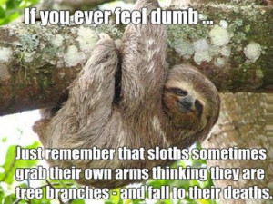 ... funny pictures humor lol sloth leave a reply what rhymes with sloth
