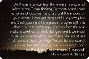... beauty...a quote I carry in my heart from Chris Cleave's LITTLE BEE
