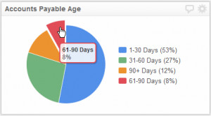Financial KPI Examples | Accounts Payable Turnover