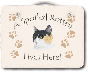 Cat Spoiled Rotten