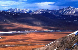 Related to Arctic National Wildlife Refuge Comprehensive Conservation