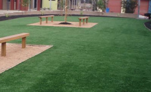 DDs provide a complete landscaping solution so you can enjoy a lush ...