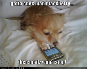 love all my bbm friends :)