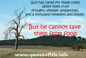 Quotes Of Life God has cared for these trees, saved them from drought ...