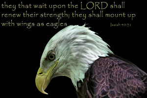 Isaiah 40.31 Wait Lord Renew Strength Mount Wings Eagles