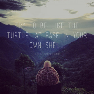 Try to be like the turtle – at ease in your own shell.