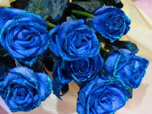 Blue Rose Wallpaper HD