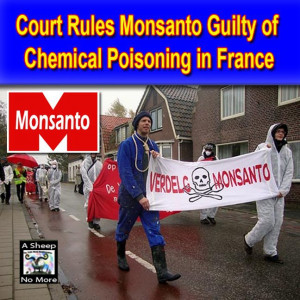 Monsanto quote banners