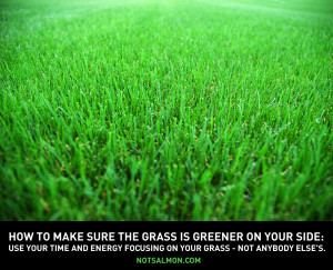 How to make sure the grass in always greener on your side….