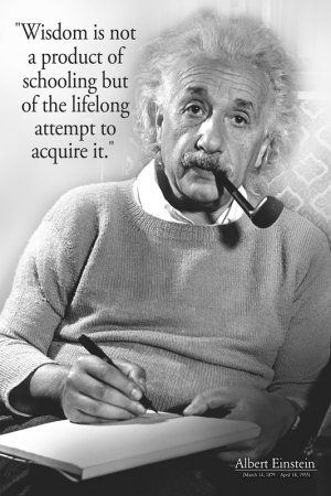 Einstein - Wisdom Poster