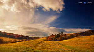 Meadow Fall Landscape...
