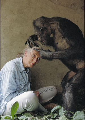 Primatologist Jane Goodall has been an inspiration and role model for ...