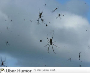 If you think your weather is bad in April just remember; in Jamaica it ...