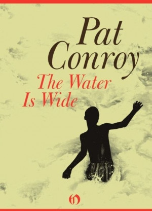 novel by Pat Conroy about his experience teaching on a small SC ...
