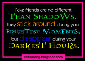 False Friends Quotes http://abook.org/fake-friends-are-no-different ...