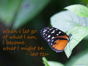 Life Quote on a wallpaper