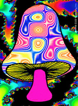 Mushrom psychedelic Pictures, Images and Photos