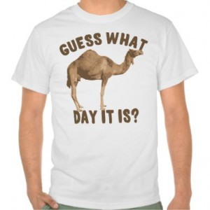 funny camel hump day t shirt camel hump day funny humor wednesday work ...