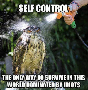 Animal Memes – Self control