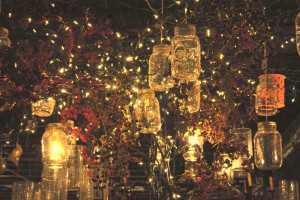mason jars hanging from trees, again. i just can't get enough: