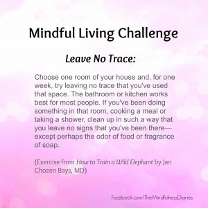 Quotes On Mindful Living