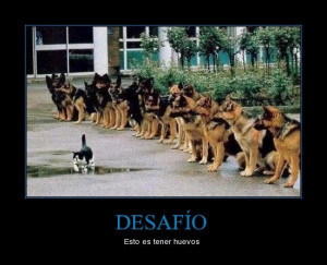 Hola amigos de taringa ! aki les dejo un post de imagenes chistosas ...